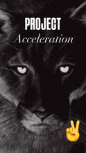 Load image into Gallery viewer, Project Acceleration II - Accel Ladder &amp; Block Starts
